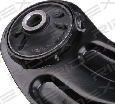 RIDEX 273C0210 - Рычаг подвески колеса autospares.lv