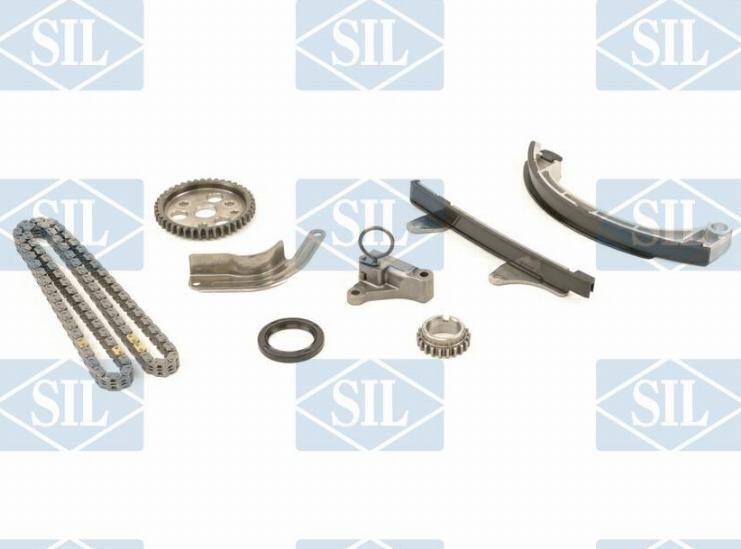 Saleri SIL CK5067 - Комплект цепи привода распредвала autospares.lv