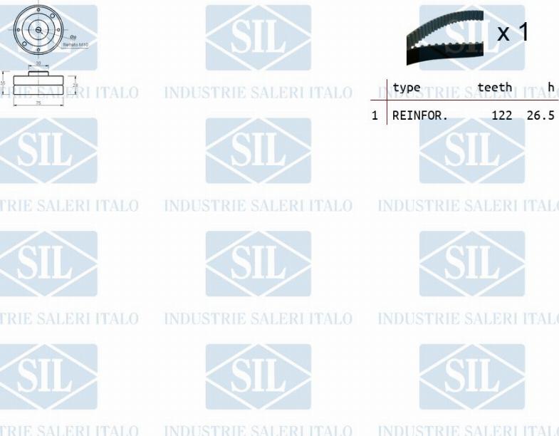 Saleri SIL TK1258 - Комплект зубчатого ремня ГРМ autospares.lv