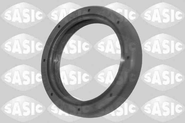 Sasic 1954011 - Уплотняющее кольцо, дифференциал autospares.lv