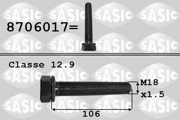 Sasic 8706017 - Болт шкива autospares.lv