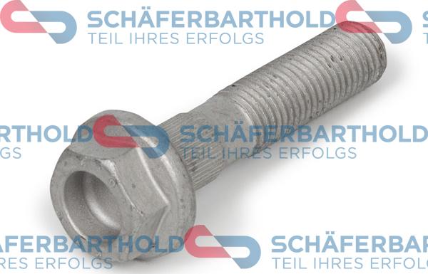 Schferbarthold 100 16 330 01 11 - Болт, шейка оси autospares.lv