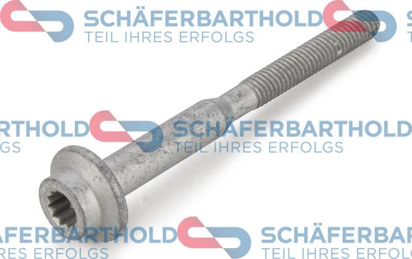 Schferbarthold 100 18 254 01 11 - Болт, крепление форсунки autospares.lv