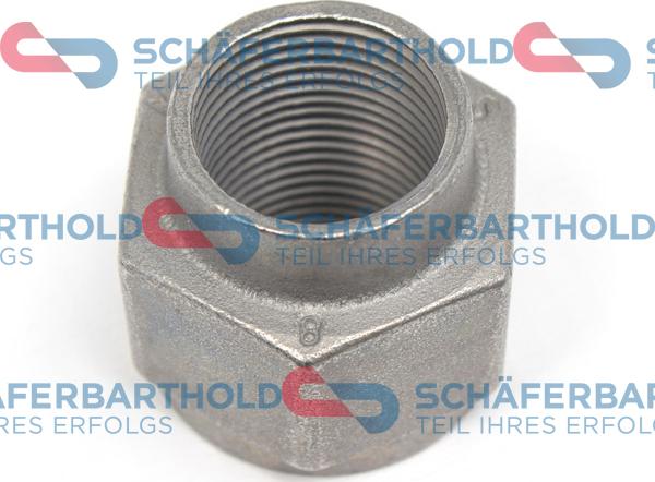 Schferbarthold 100 27 289 01 11 - Гайка оси, приводной вал autospares.lv