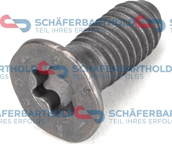 Schferbarthold 395 18 006 01 22 - Болт, диск тормозного механизма autospares.lv