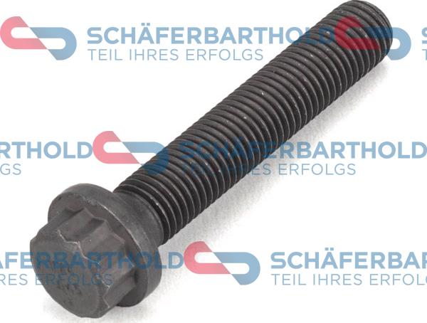 Schferbarthold 395 18 023 01 22 - Болт крепления крышки шатуна autospares.lv