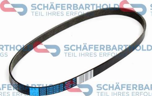 Schferbarthold 300 06 808 01 11 - Поликлиновой ремень autospares.lv