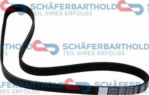 Schferbarthold 300 06 874 01 11 - Поликлиновой ремень autospares.lv