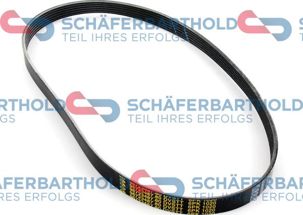 Schferbarthold 300 27 851 01 11 - Поликлиновой ремень autospares.lv