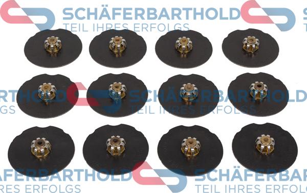 Schferbarthold 315 04 142 01 11 - Тормозная несущая пластина autospares.lv