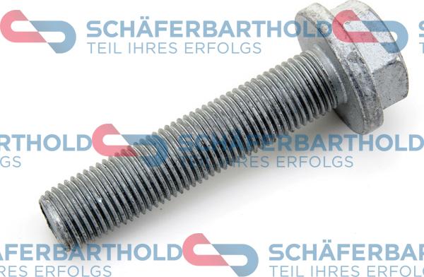 Schferbarthold 310 28 697 01 11 - Болт шкива autospares.lv