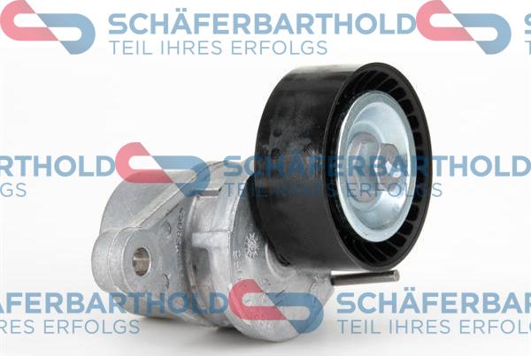 Schferbarthold 310 27 495 01 11 - Ролик, поликлиновый ремень autospares.lv