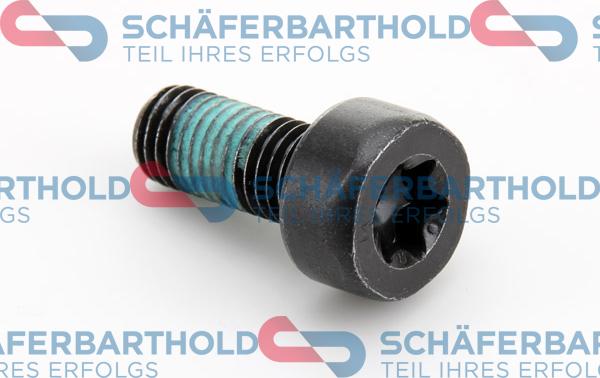 Schferbarthold 310 27 615 01 11 - Болт маховика autospares.lv