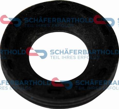 Schferbarthold 313 06 061 01 11 - Уплотнительное кольцо, инжектор autospares.lv