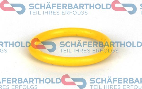 Schferbarthold 313 02 934 01 11 - Прокладка, термостат autospares.lv