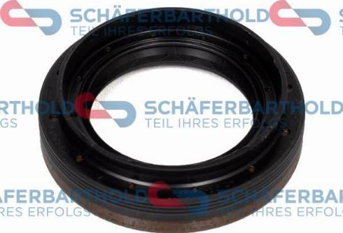 Schferbarthold 313 16 451 01 22 - Уплотняющее кольцо, дифференциал autospares.lv