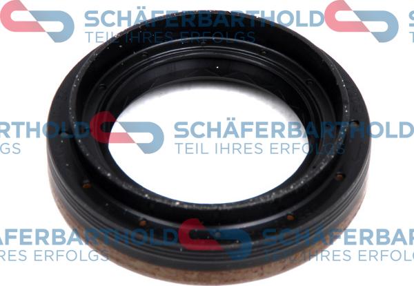 Schferbarthold 313 16 419 01 11 - Уплотняющее кольцо, дифференциал autospares.lv