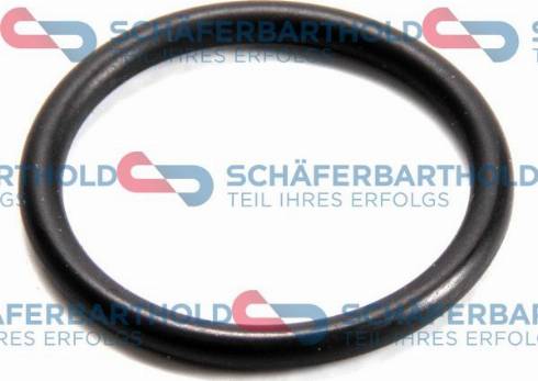 Schferbarthold 313 16 078 01 22 - Уплотнительное кольцо, резьбовая пробка маслосливного отверстия autospares.lv