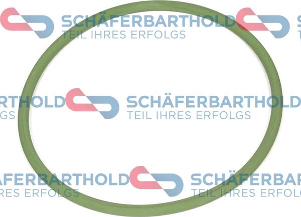 Schferbarthold 313 38 100 01 11 - Прокладка, топливный насос autospares.lv