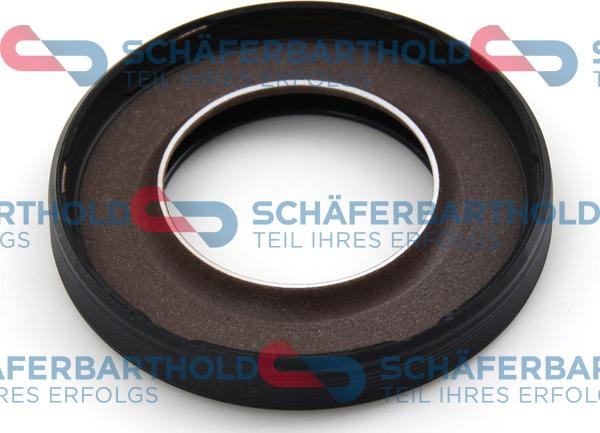 Schferbarthold 313 27 441 01 11 - Уплотняющее кольцо, распредвал autospares.lv