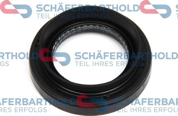 Schferbarthold 313 27 443 01 11 - Уплотняющее кольцо, дифференциал autospares.lv