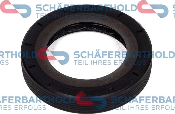 Schferbarthold 313 27 403 01 11 - Уплотняющее кольцо, дифференциал autospares.lv