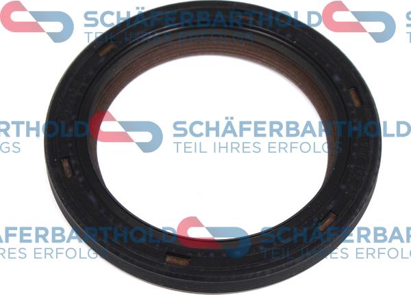 Schferbarthold 313 27 435 01 11 - Уплотняющее кольцо, коленчатый вал autospares.lv