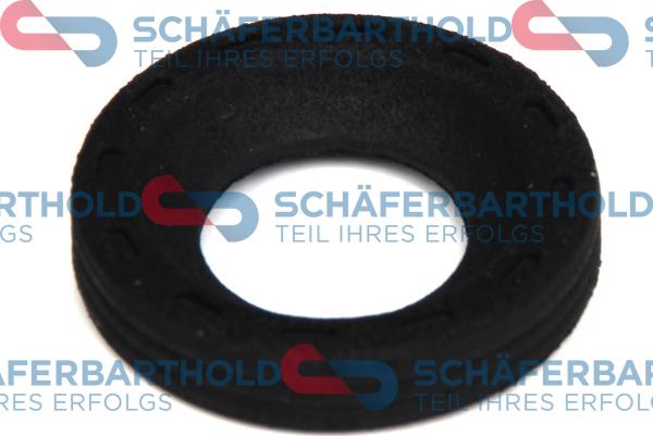 Schferbarthold 313 27 584 01 11 - Уплотнительное кольцо, инжектор autospares.lv