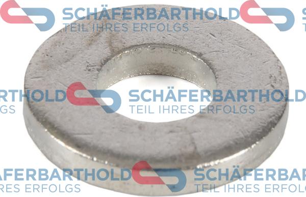 Schferbarthold 313 27 039 01 11 - Уплотнительное кольцо, инжектор autospares.lv