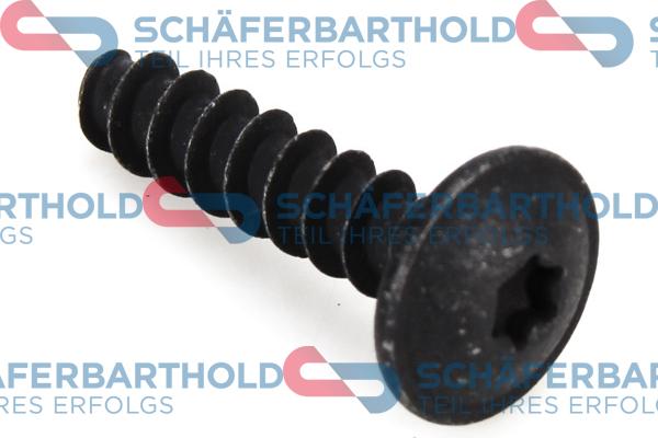 Schferbarthold 317 18 798 01 11 - Самонарезающий винт autospares.lv