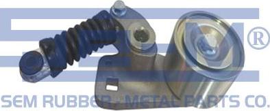 Sem Lastik 13256 - Натяжитель, поликлиновый ремень autospares.lv