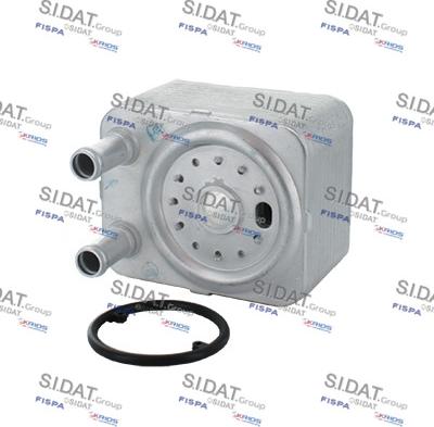 Sidat 590006 - Масляный радиатор, двигательное масло autospares.lv