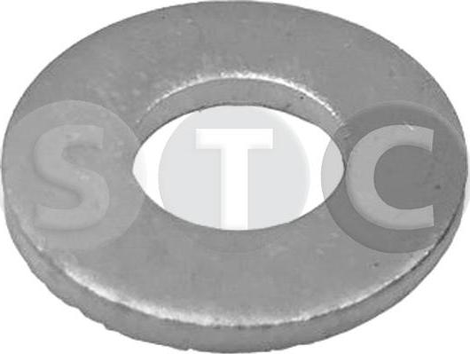 STC T439463 - Уплотнительное кольцо, инжектор autospares.lv