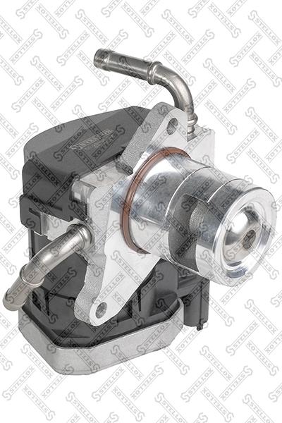 Stellox 01-25135-SX - Клапан возврата ОГ autospares.lv