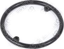 Stellox 11-25402-SX - Прокладка, масляный радиатор autospares.lv