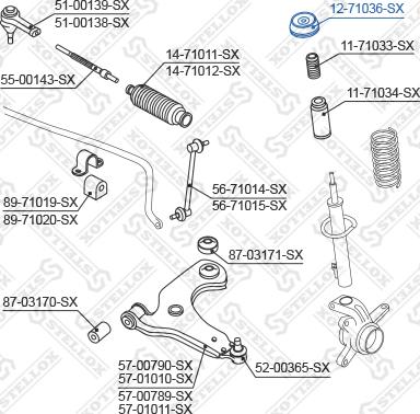 Stellox 12-71036-SX - Подшипник качения, опора стойки амортизатора autospares.lv