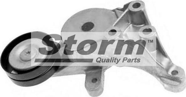 Storm F4318 - Натяжитель, поликлиновый ремень autospares.lv