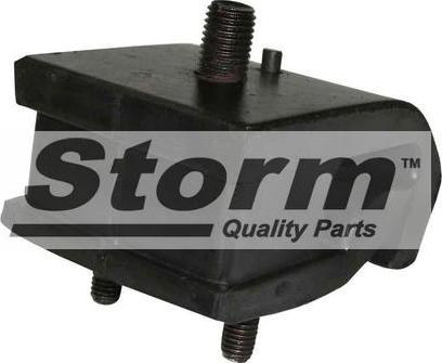 Storm F1053 - Подушка, опора, подвеска двигателя autospares.lv