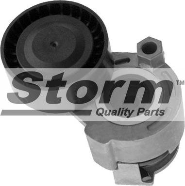 Storm F10070 - Ролик, поликлиновый ремень autospares.lv