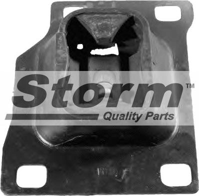 Storm F2495 - Подушка, опора, подвеска двигателя autospares.lv