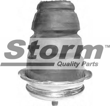 Storm F2254 - Отбойник, демпфер амортизатора autospares.lv