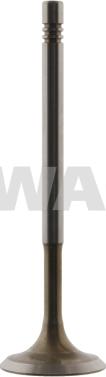 Swag 30 93 2333 - Впускной клапан autospares.lv