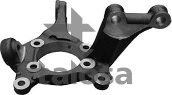 Talosa 79-04303L - Поворотный кулак, подвеска колеса autospares.lv