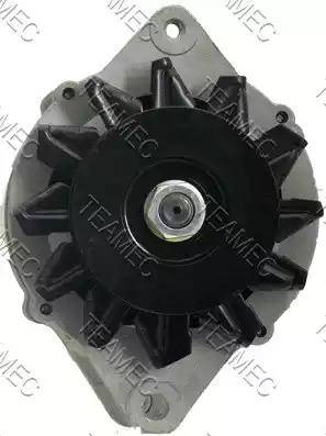 Teamec 212221 - Генератор autospares.lv