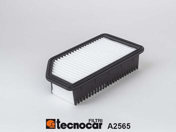 Tecnocar A2565 - Воздушный фильтр, двигатель autospares.lv
