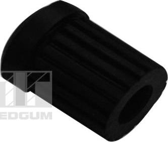 Tedgum 00463408 - Подвеска, листовая рессора autospares.lv