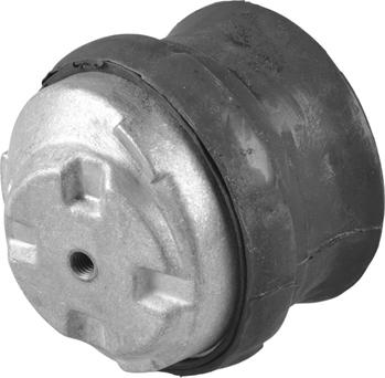 Tedgum 00416445 - Подушка, опора, подвеска двигателя autospares.lv