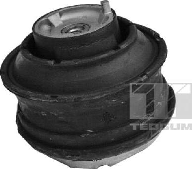 Tedgum 00416445 - Подушка, опора, подвеска двигателя autospares.lv