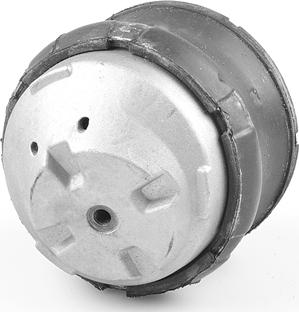 Tedgum 00416461 - Подушка, опора, подвеска двигателя autospares.lv