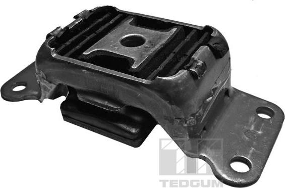 Tedgum 00089499 - Опора, дифференциал autospares.lv